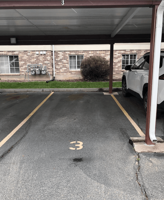 Picture of the author