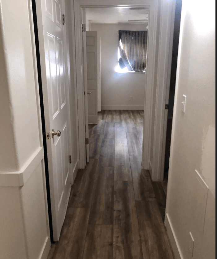 Picture of the author